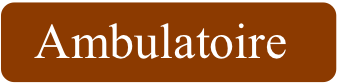 Logo ambulatoire