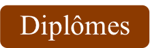 Logo diplomes