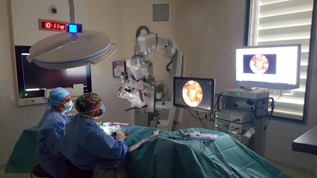 Endoscopie de l'oreille. ORL médecin examinant l'oreille de l'homme mature  à l'aide d'un endoscope à la clinique d'otolaryngologie Photo Stock - Alamy